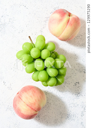 閃耀麝香和桃色 129975290