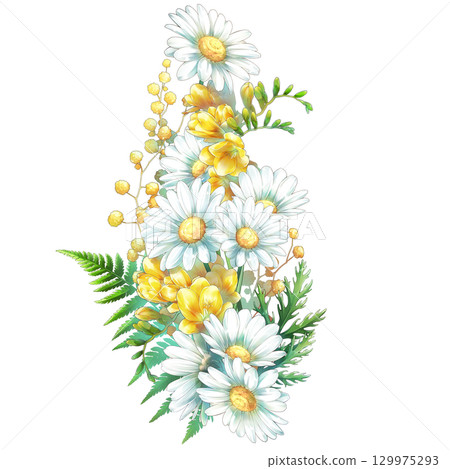 白色華麗的裝飾雛菊 129975293