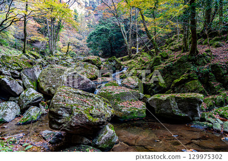 秋日赤目四十八瀑漫步 129975302