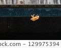 Cicada shells left on the eaves of a storehouse 129975394