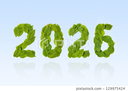 Green leaves in the shape of numbers 2026 on a blue background. New Year 2026 save it earth environment and our planet. Earth day 2026 concept and green recycling Green leaves in the shape of numbers 2026 on a blue background. New Year 2026 save it earth environment and our planet. Earth day 2026 concept and green recycling 129975424