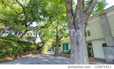 綠蔭環繞的山手西式建築埃里斯曼住宅 129975812