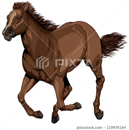 奔騰的棕色馬 奔騰的棕色馬 129976164
