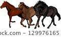 Three galloping horses 129976165