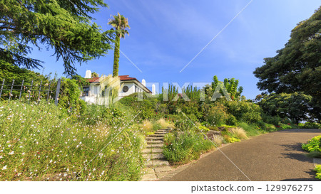 橫濱港景公園的夏天 129976275