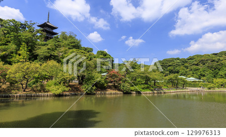 有池塘的三溪園 有池塘的三溪園 129976313