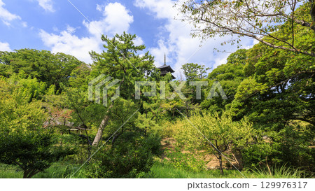 有池塘的三溪園 有池塘的三溪園 129976317