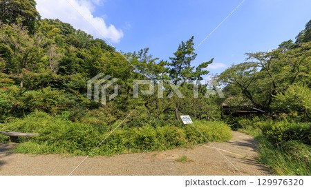 Sankeien Garden with a pond Sankeien Garden with a pond 129976320