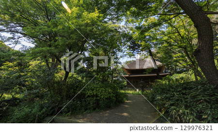 有池塘的三溪園 129976321