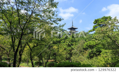 Sankeien Garden with a pond Sankeien Garden with a pond 129976322
