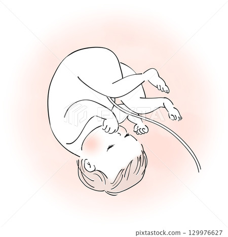 子宮裡的嬰兒 129976627