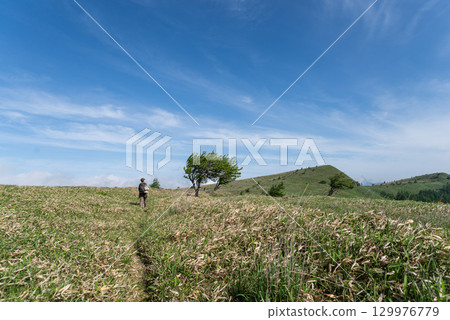 Refreshing plateau Kirigamine plateau 129976779