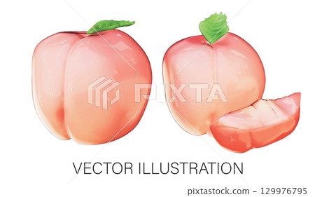 Realistic 3D Peach Fruit Vector Set on White Background Realistic 3D Peach Fruit Vector Set on White Background 129976795