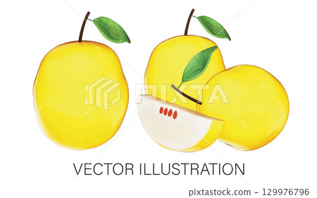 Realistic 3D Quandong Fruit Vector Set on White Background 129976796