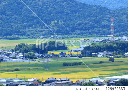 Fields and houses spread out at the foot of the mountain 129976885