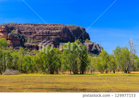 Rock formations and wetlands of Nawurlandja in the Northern Territory of Australia 129977153