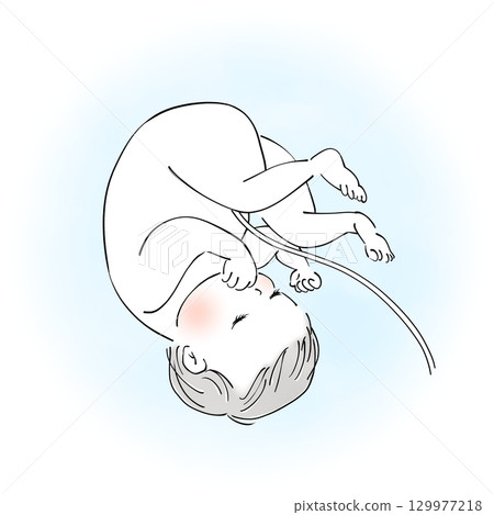 子宮裡的嬰兒 129977218