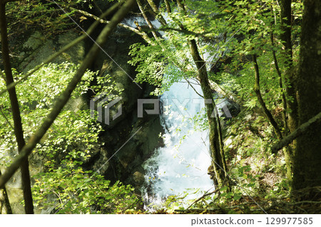 View of Nishizawa Valley, Yamanashi Prefecture 129977585
