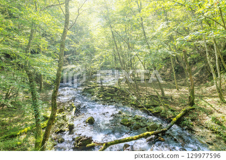 View of Nishizawa Valley, Yamanashi Prefecture View of Nishizawa Valley, Yamanashi Prefecture 129977596