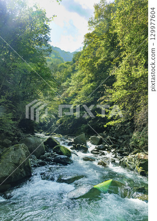 View of Nishizawa Valley, Yamanashi Prefecture 129977604