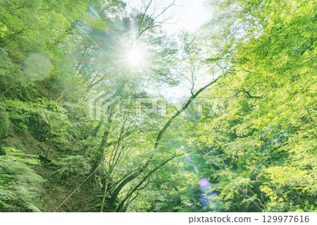 View of Nishizawa Valley, Yamanashi Prefecture View of Nishizawa Valley, Yamanashi Prefecture 129977616