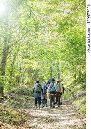View of Nishizawa Valley, Yamanashi Prefecture 129977636