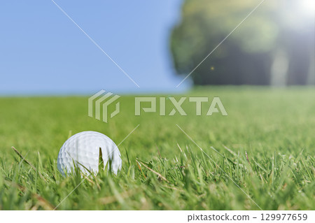 高爾夫球場與美麗新鮮的綠草 高爾夫球場與美麗新鮮的綠草 129977659
