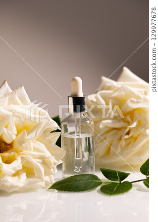 Luxurious Rose Oil for Skin Care With Beautiful White Roses Beside the Bottle 129977678