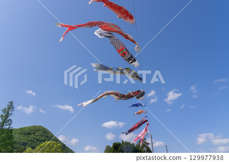這是鯉魚旗。 129977938