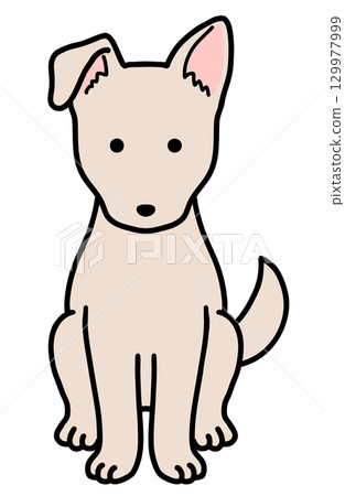 Dogs, rescue dogs, mixed breed dogs/cream-colored dogs 129977999