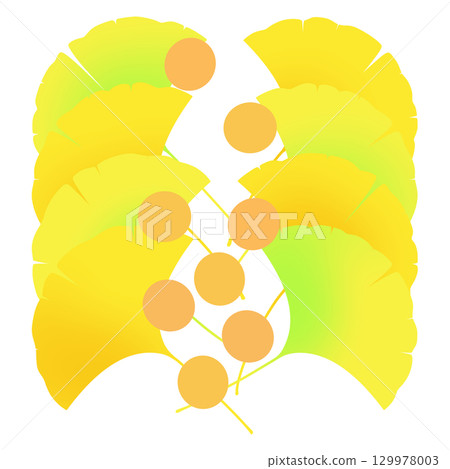 Autumnal ginkgo leaves and fruits 129978003