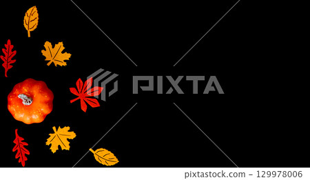Mini Pumpkin and Colorful Autumn Leaves on Black Background. Halloween background. Top view 129978006