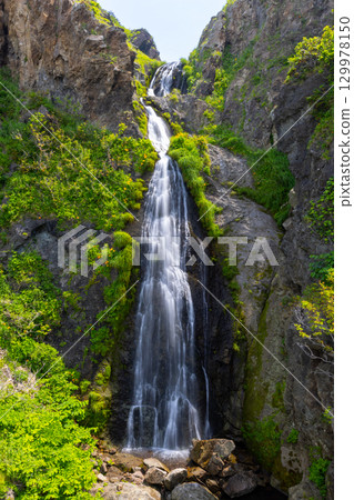 新潟縣佐渡市巖谷口 - 從佐渡環狀線外海府海岸沿線眺望五段瀑布,百合花和萱草花盛開 新潟縣佐渡市巖谷口 - 從佐渡環狀線外海府海岸沿線眺望五段瀑布,百合花和萱草花盛開 129978150