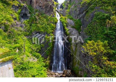 新潟縣佐渡市巖谷口 - 從佐渡環狀線外海府海岸沿線眺望五段瀑布，百合花和萱草花盛開 129978151