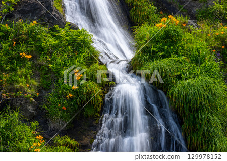 新潟縣佐渡市巖谷口 - 從佐渡環狀線外海府海岸沿線眺望五段瀑布,百合花和萱草花盛開 新潟縣佐渡市巖谷口 - 從佐渡環狀線外海府海岸沿線眺望五段瀑布,百合花和萱草花盛開 129978152