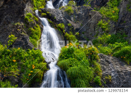 新潟縣佐渡市巖谷口 - 從佐渡環狀線外海府海岸沿線眺望五段瀑布,百合花和萱草花盛開 新潟縣佐渡市巖谷口 - 從佐渡環狀線外海府海岸沿線眺望五段瀑布,百合花和萱草花盛開 129978154