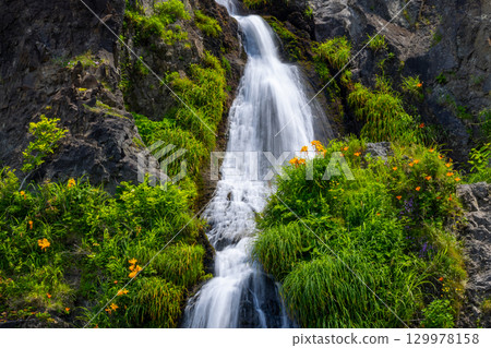 新潟縣佐渡市巖谷口 - 從佐渡環狀線外海府海岸沿線眺望五段瀑布,百合花和萱草花盛開 新潟縣佐渡市巖谷口 - 從佐渡環狀線外海府海岸沿線眺望五段瀑布,百合花和萱草花盛開 129978158