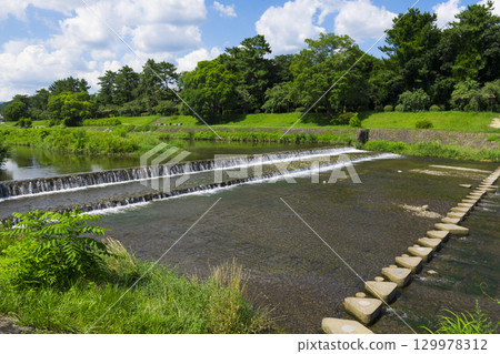京都：京都植物園附近的鴨川和北山踏腳石 129978312