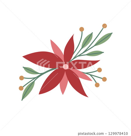 Festive poinsettia flower with holly branches and berries for Christmas and winter decoration 129978410
