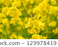 A collaboration between rape blossoms and honeybees. 129978419