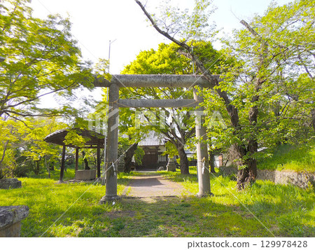 田口聖魂社 129978428