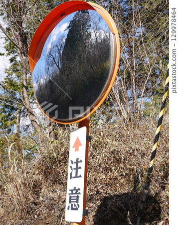 彎鏡 129978464