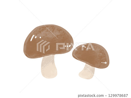 香菇蘑菇例證 香菇蘑菇例證 129978687