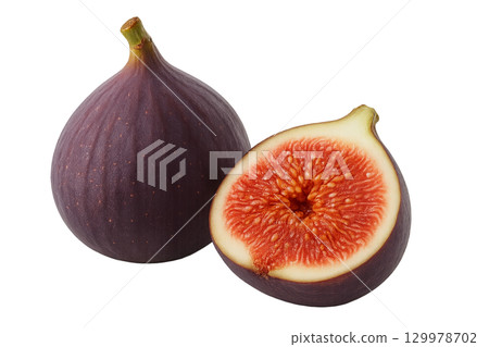 FIG  129978702