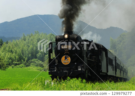 SL Yamaguchi D51 2544 129979277