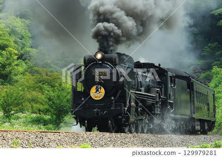 SL 山口 D51 2686 129979281