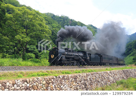 SL 山口 D51 9904 SL 山口 D51 9904 129979284