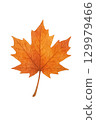 秋天的落葉 129979466