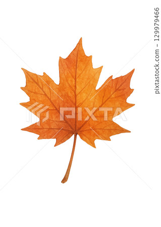 秋天的落葉 129979466
