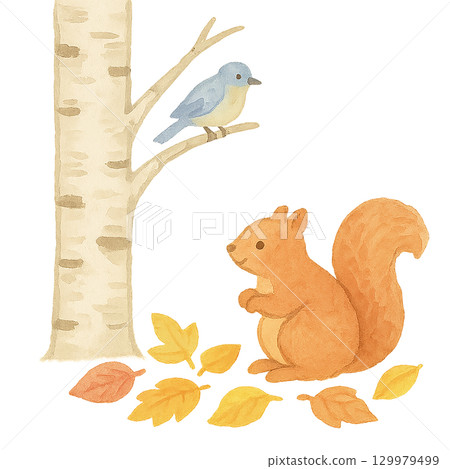 樺樹、松鼠和鳥的插圖(秋天,水彩風格) 樺樹、松鼠和鳥的插圖(秋天,水彩風格) 129979499
